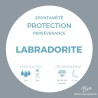 Bracelet en Labradorite AAA - Protection et Créativité -