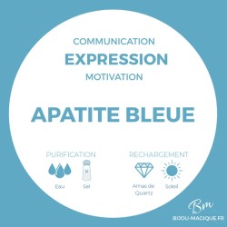 Bracelet en Apatite AAA - Motivation et Communication -